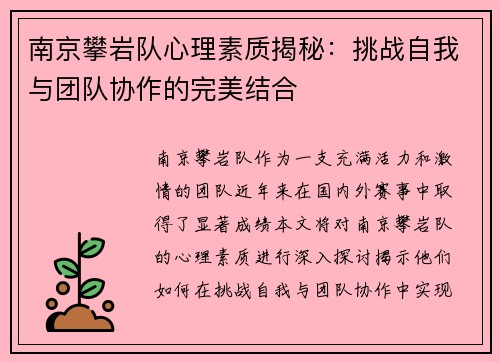 南京攀岩队心理素质揭秘：挑战自我与团队协作的完美结合